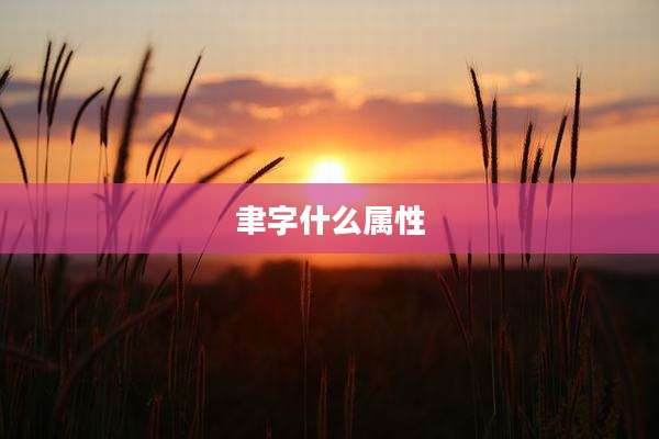 聿字什么属性