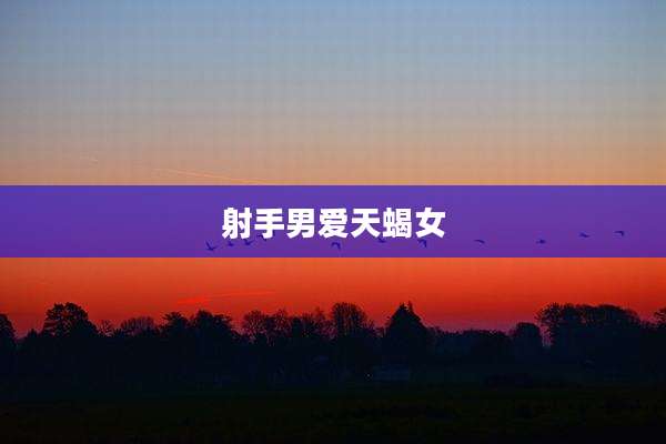 射手男爱天蝎女