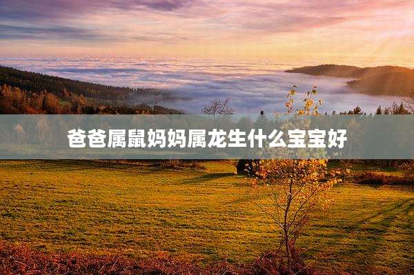 爸爸属鼠妈妈属龙生什么宝宝好