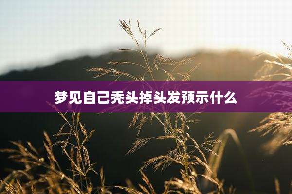梦见自己秃头掉头发预示什么