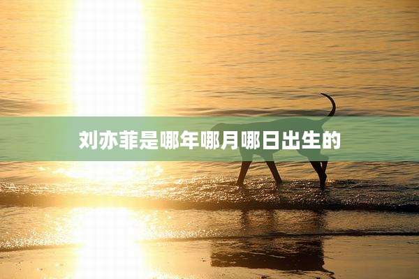 刘亦菲是哪年哪月哪日出生的