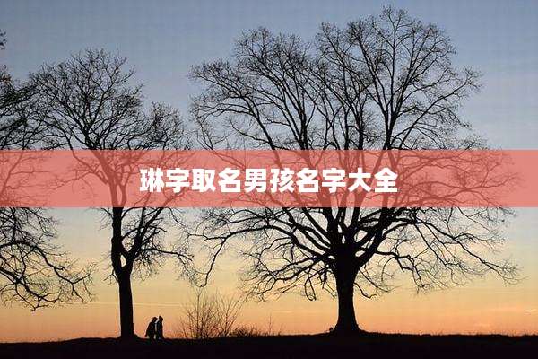 琳字取名男孩名字大全