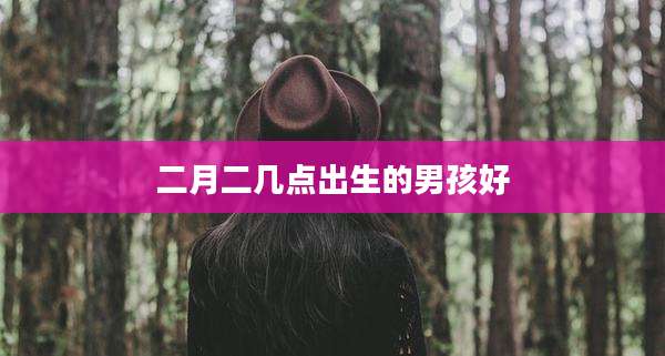 二月二几点出生的男孩好