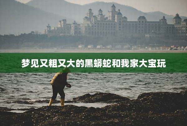 梦见又粗又大的黑蟒蛇和我家大宝玩