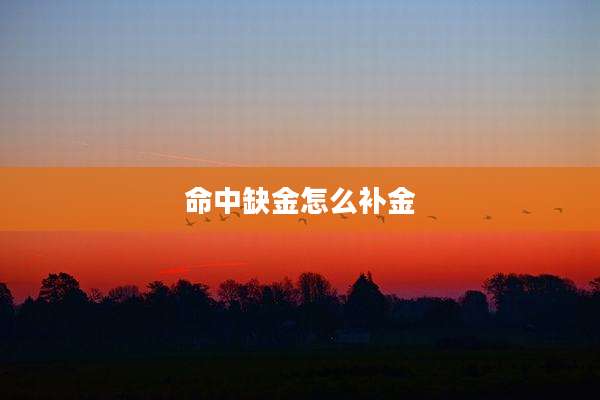 命中缺金怎么补金