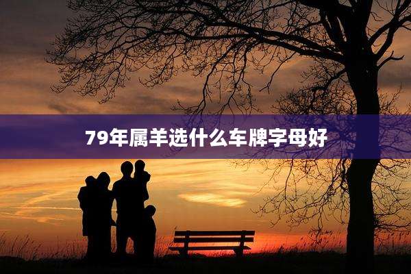 79年属羊选什么车牌字母好