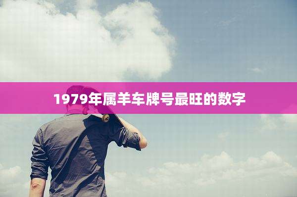 1979年属羊车牌号最旺的数字