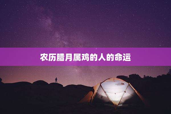 农历腊月属鸡的人的命运