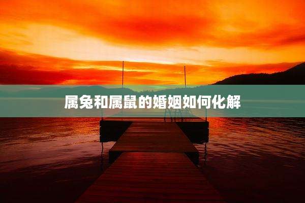 属兔和属鼠的婚姻如何化解