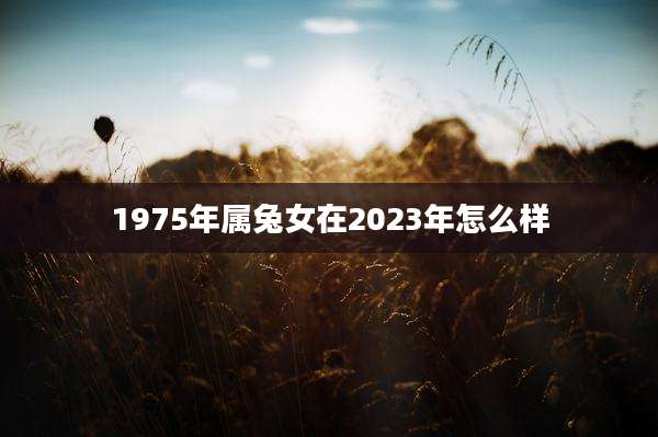 1975年属兔女在2023年怎么样