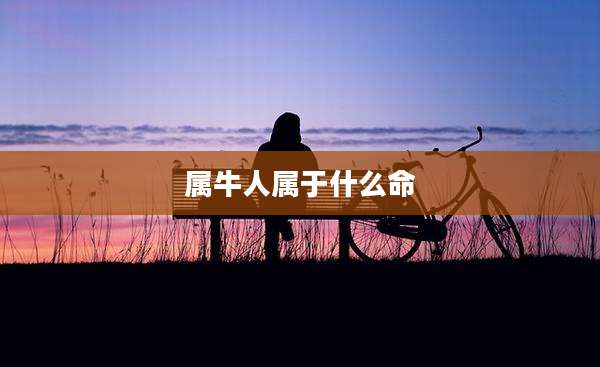 属牛人属于什么命