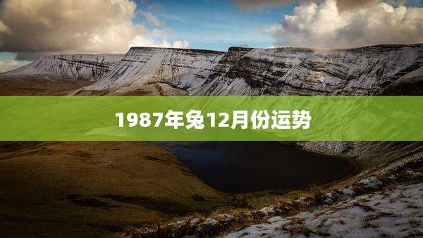 1987年兔12月份运势