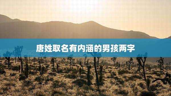 唐姓取名有内涵的男孩两字