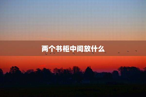 两个书柜中间放什么