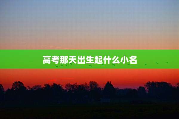 高考那天出生起什么小名