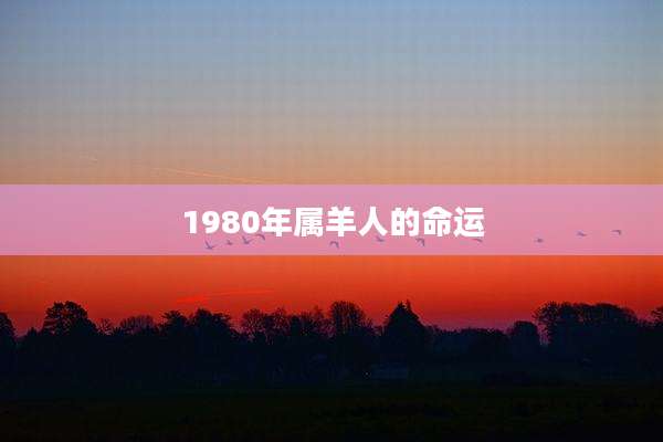 1980年属羊人的命运