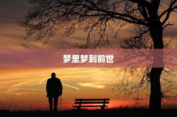梦里梦到前世
