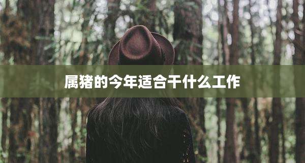 属猪的今年适合干什么工作
