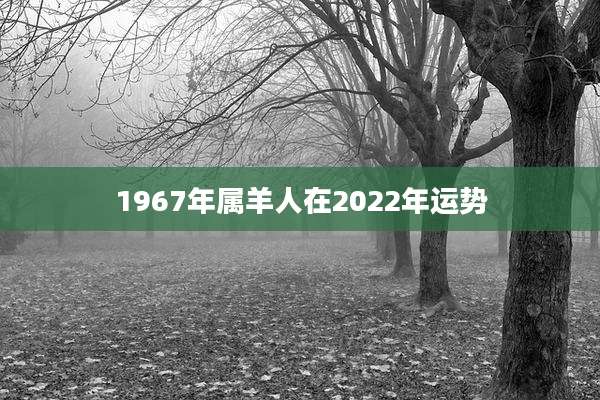 1967年属羊人在2022年运势