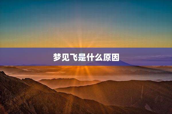 梦见飞是什么原因
