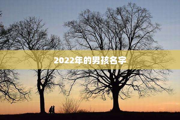 2022年的男孩名字