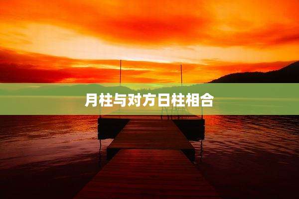 月柱与对方日柱相合