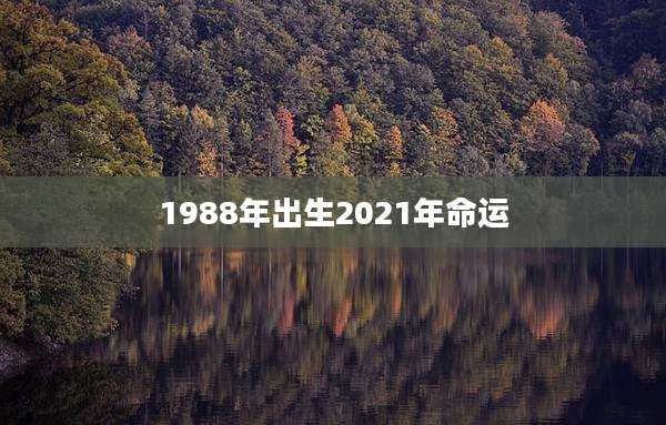 1988年出生2021年命运
