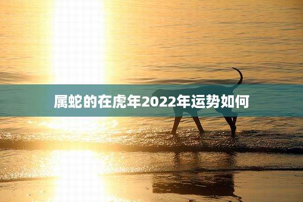 属蛇的在虎年2022年运势如何