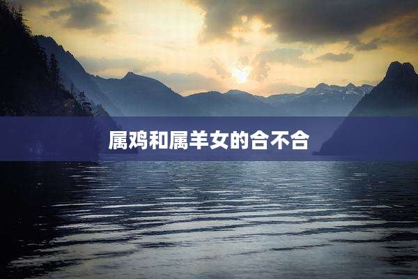 属鸡和属羊女的合不合