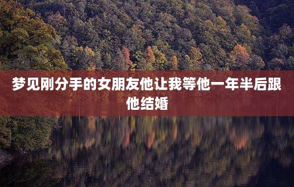 梦见刚分手的女朋友他让我等他一年半后跟他结婚