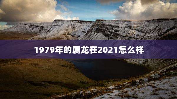 1979年的属龙在2021怎么样