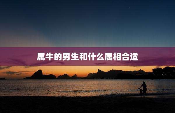 属牛的男生和什么属相合适