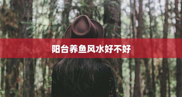 阳台养鱼风水好不好