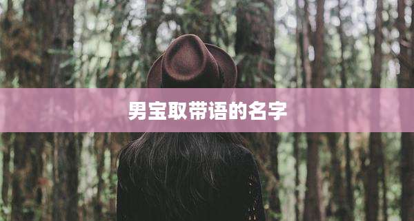 男宝取带语的名字