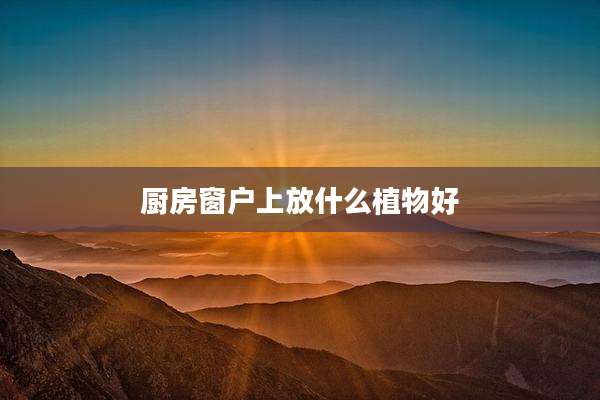厨房窗户上放什么植物好