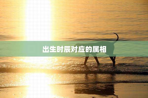 出生时辰对应的属相