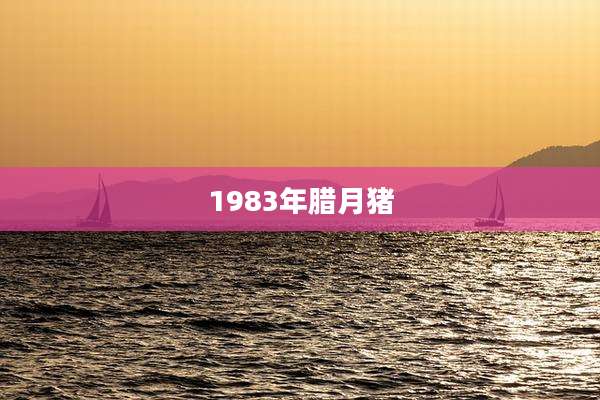 1983年腊月猪