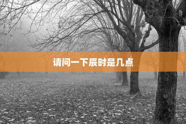 请问一下辰时是几点