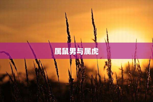 属鼠男与属虎