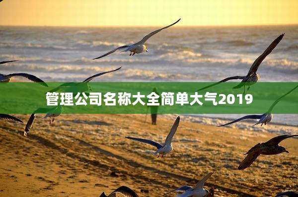 管理公司名称大全简单大气2019