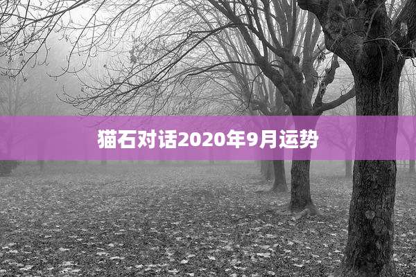 猫石对话2020年9月运势