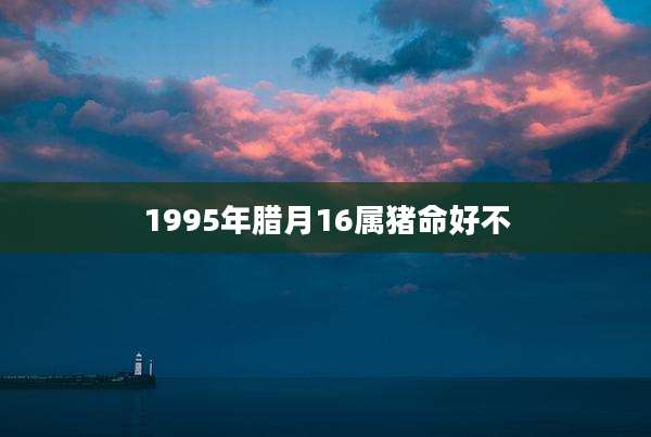 1995年腊月16属猪命好不