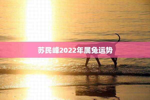苏民峰2022年属兔运势