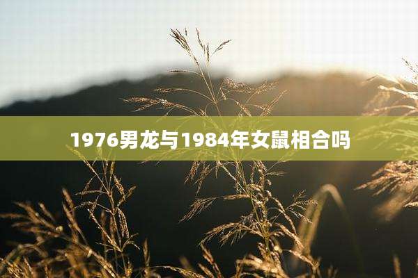 1976男龙与1984年女鼠相合吗