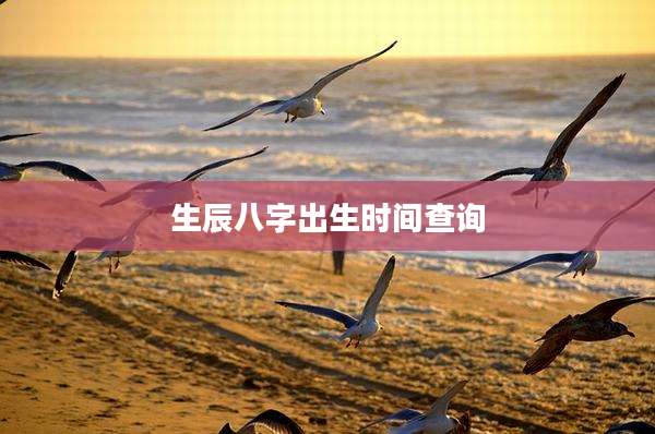 生辰八字出生时间查询