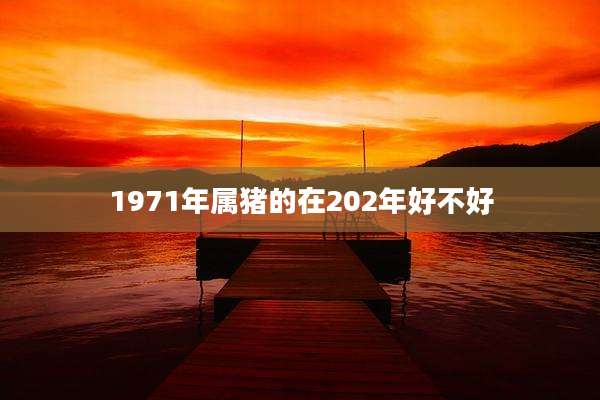 1971年属猪的在202年好不好