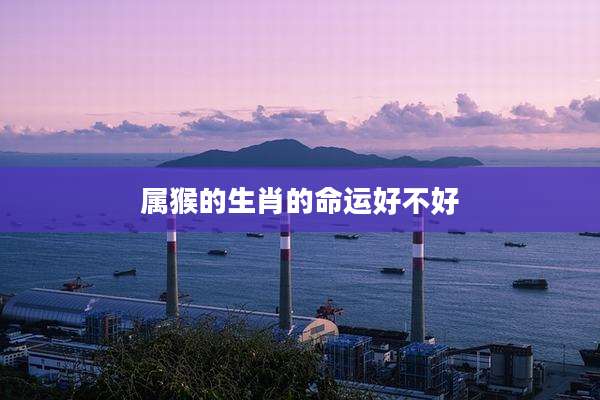 属猴的生肖的命运好不好