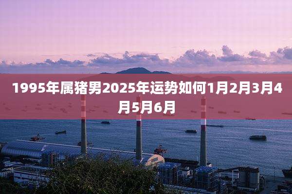 1995年属猪男2025年运势如何1月2月3月4月5月6月