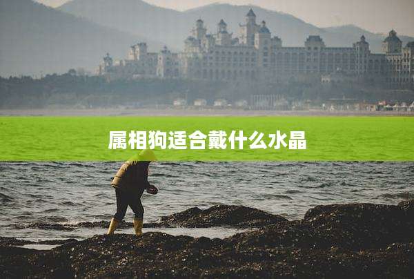 属相狗适合戴什么水晶