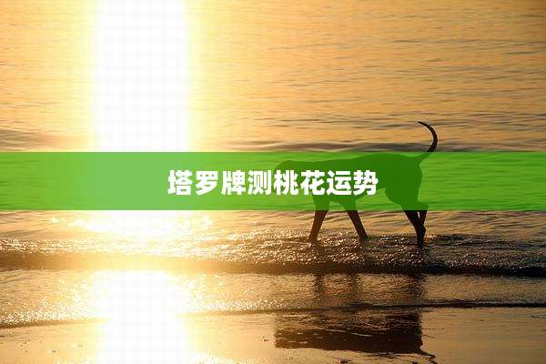 塔罗牌测桃花运势